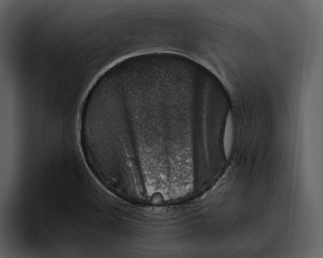 X0000095691508200801291207