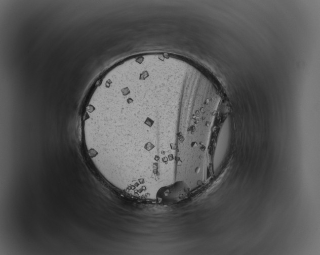 X0000095691509200801291207