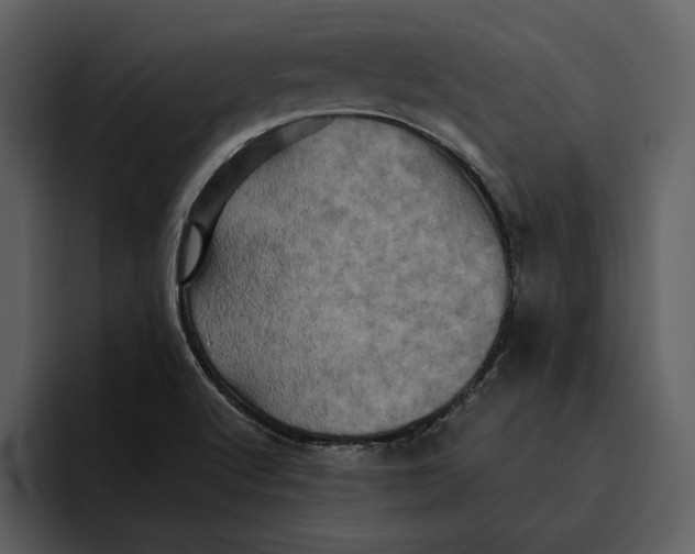 X0000095691512200801291207