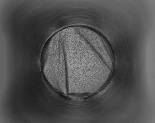 X0000095691513200801291207