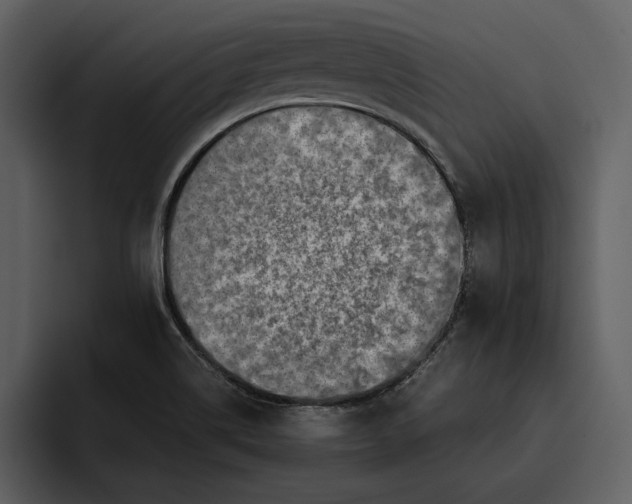 X0000095691514200801291207