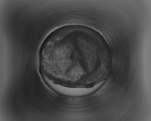 X0000095691515200801291207