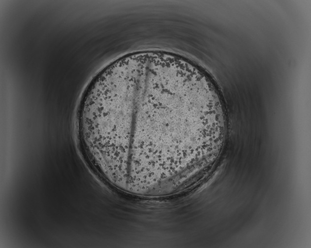 X0000095691517200801291207