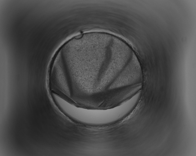 X0000095691518200801291207