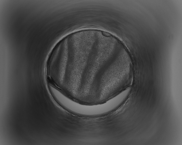 X0000095691519200801291207