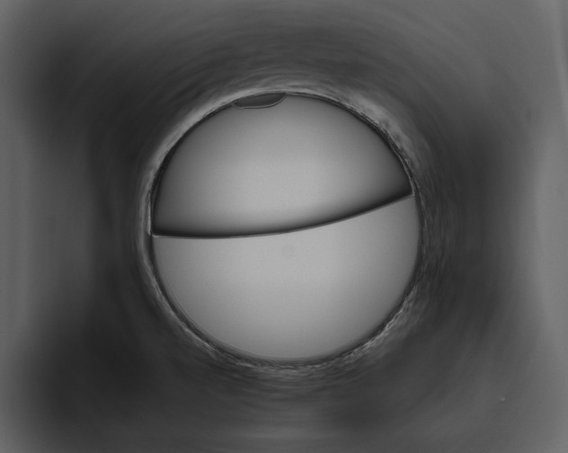 X0000095691520200801291207