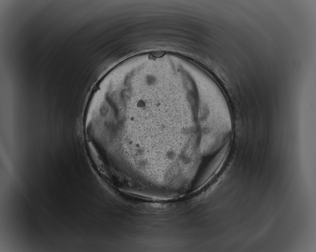 X0000095691521200801291207