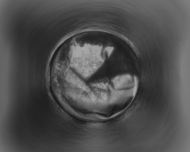 X0000095691522200801291207