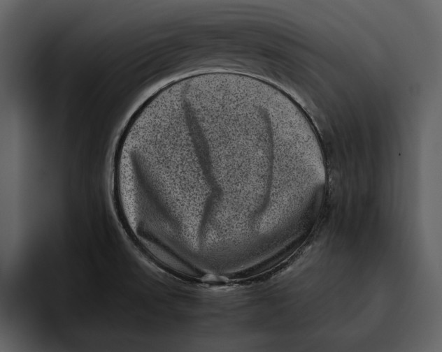 X0000095691523200801291207