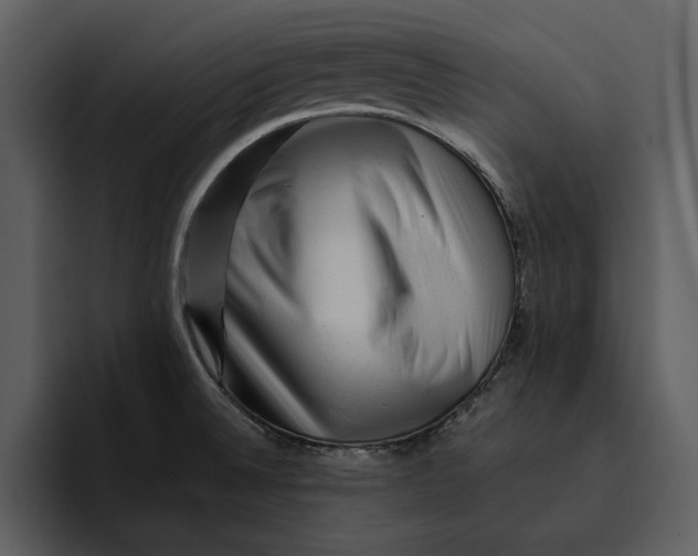 X0000095691524200801291207