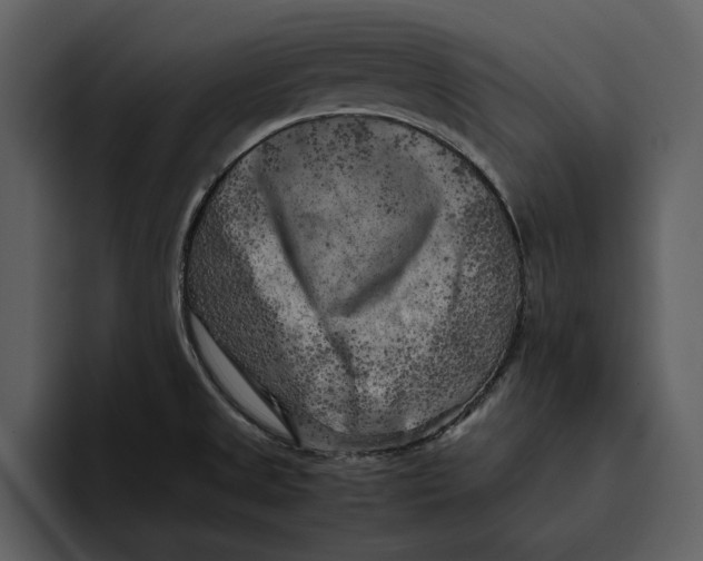 X0000095691525200801291207