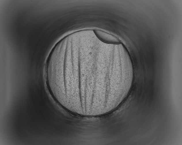 X0000095691526200801291207