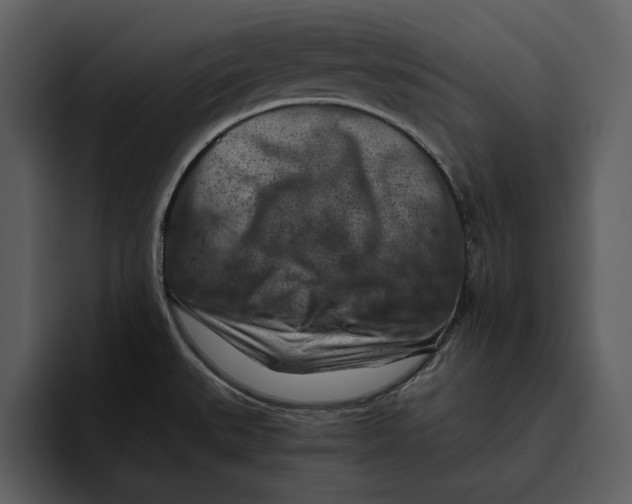 X0000095691527200801291207