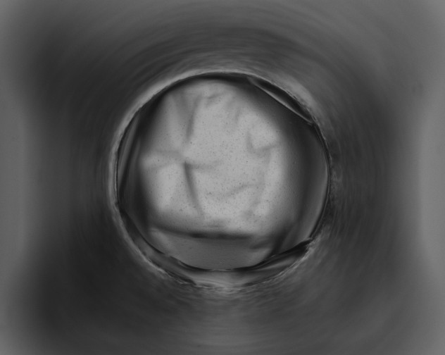 X0000095691528200801291207