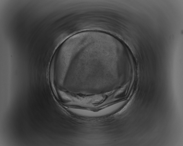 X0000095691529200801291207