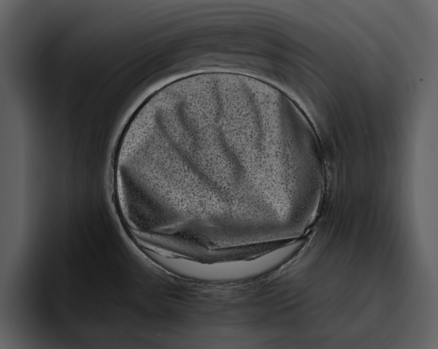 X0000095691531200801291207