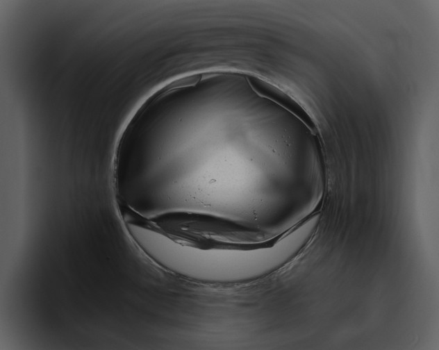 X0000095691532200801291207