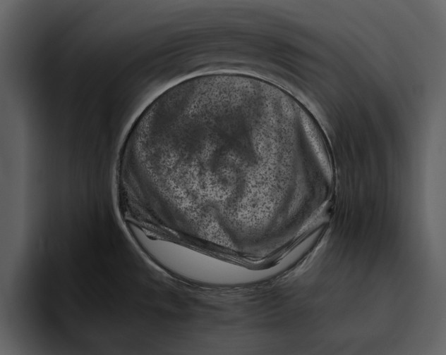 X0000095691533200801291207