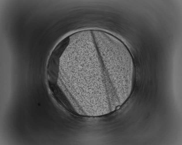 X0000095691534200801291207