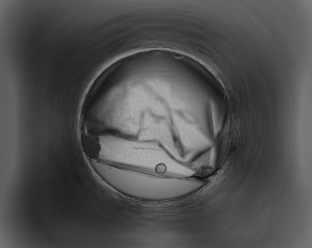 X0000095691535200801291207