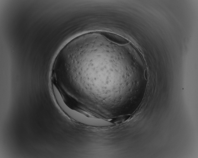 X0000095691536200801291207