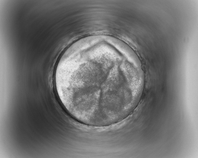 X0000095690002200802051322