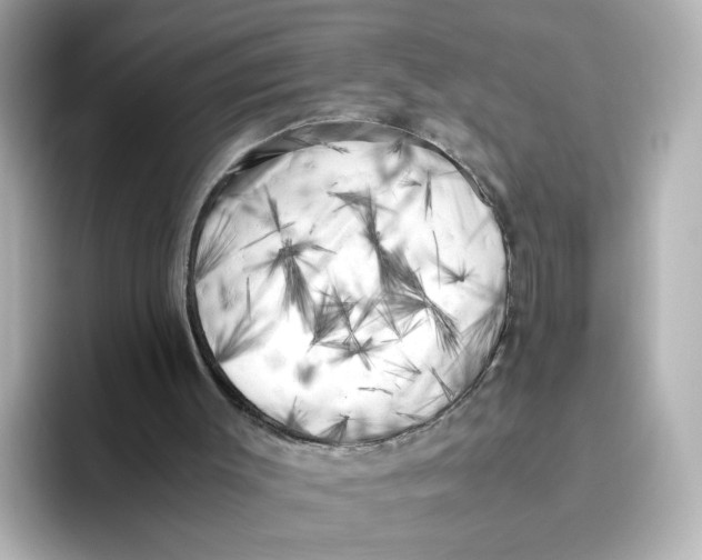 X0000095690003200802051322