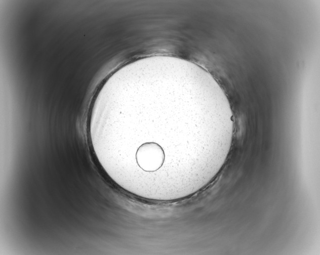 X0000095690004200802051322