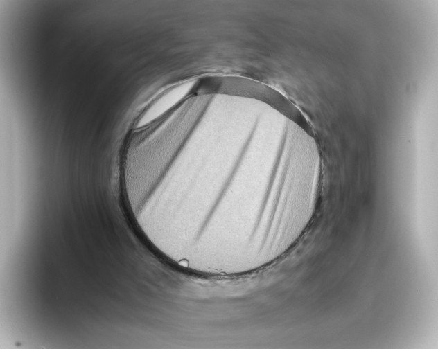 X0000095690005200802051322