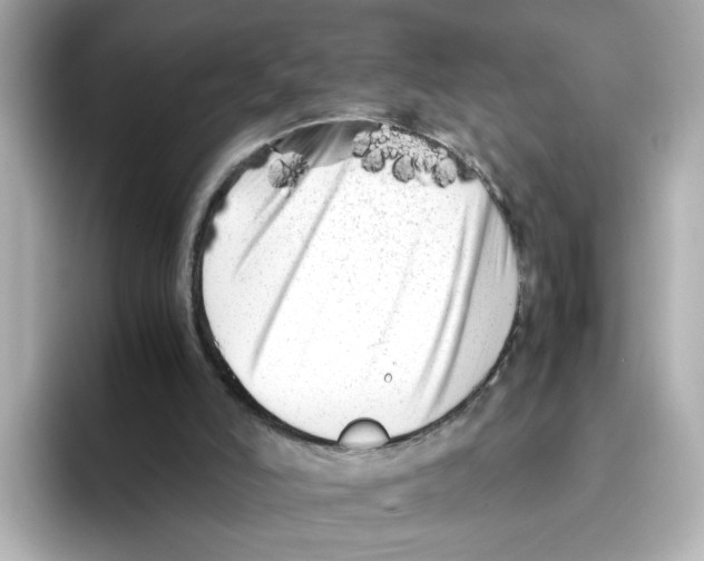 X0000095690006200802051322