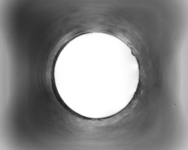X0000095690007200802051322