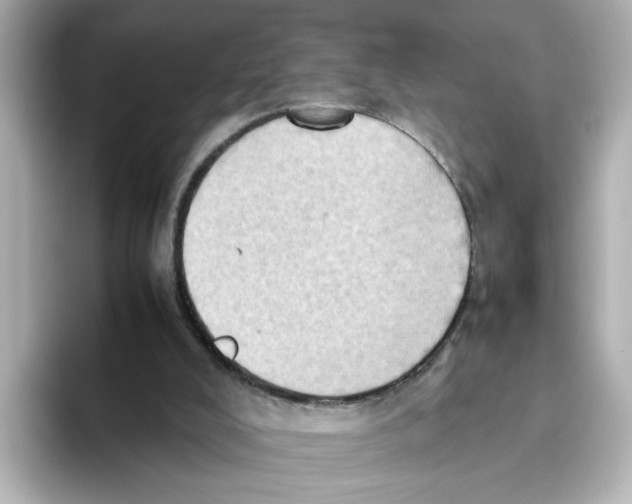 X0000095690008200802051322