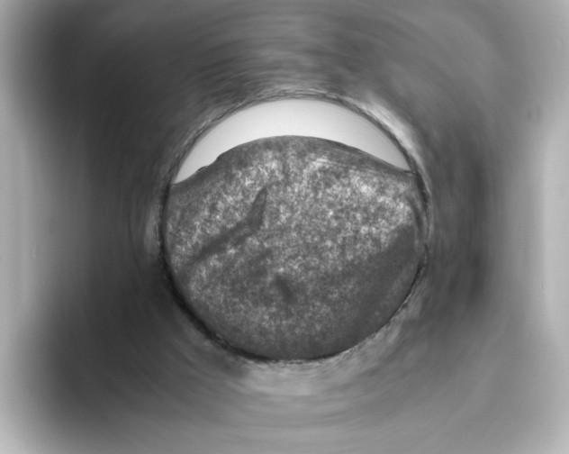 X0000095690009200802051322