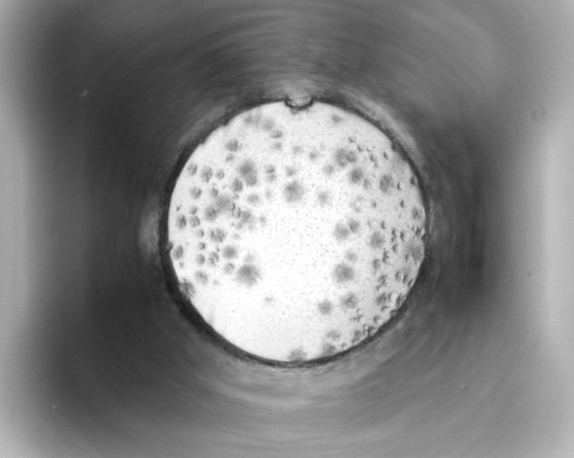 X0000095690010200802051322