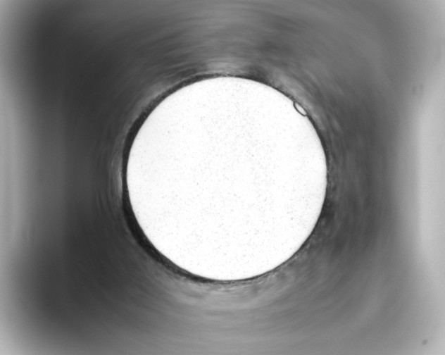 X0000095690011200802051322
