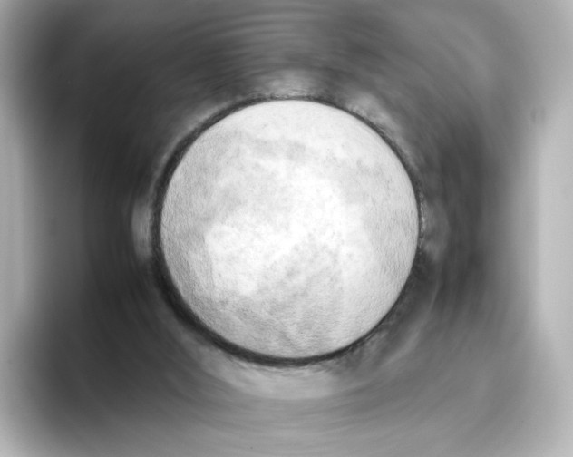 X0000095690012200802051322