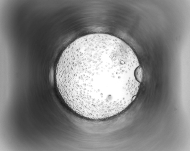 X0000095690014200802051322