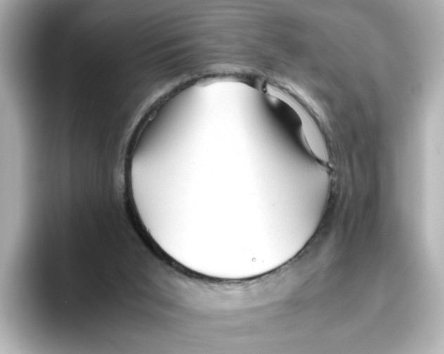 X0000095690015200802051322