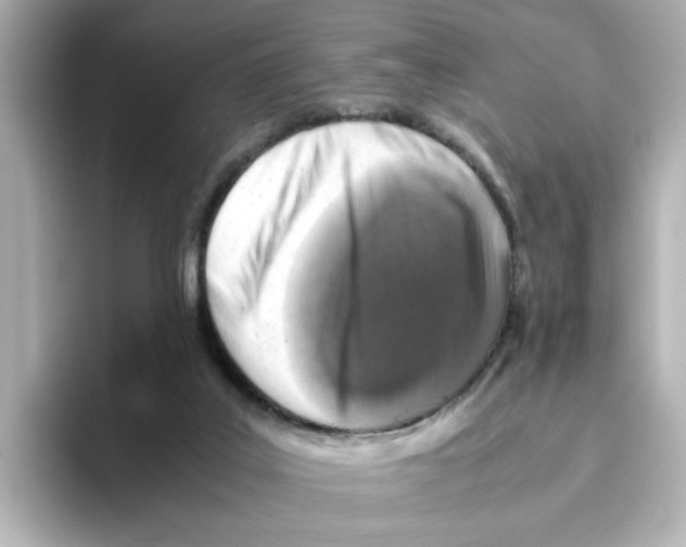 X0000095690019200802051322