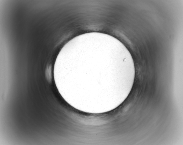 X0000095690020200802051322
