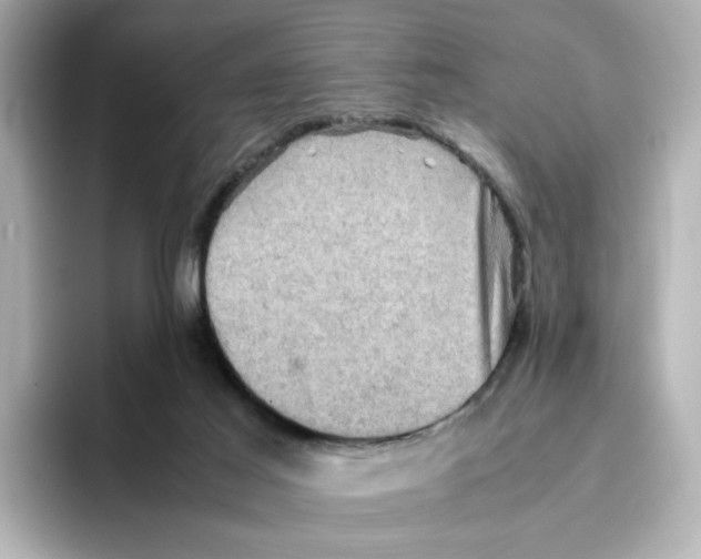 X0000095690021200802051322