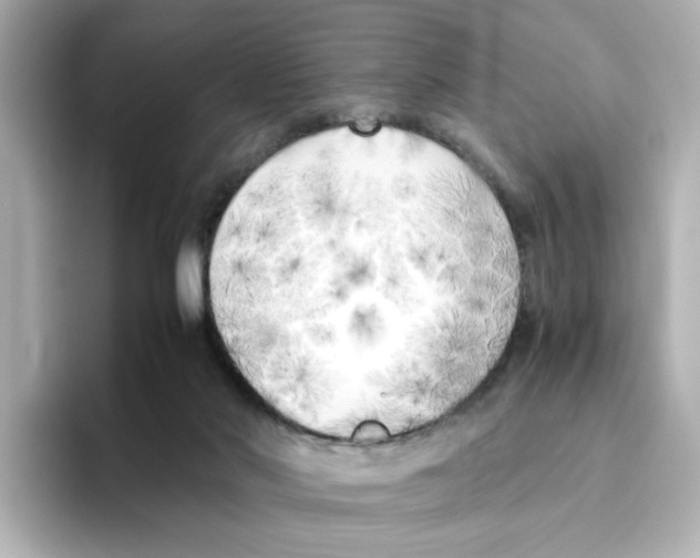 X0000095690022200802051322