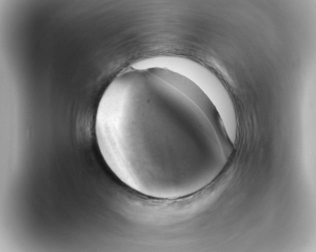 X0000095690023200802051322