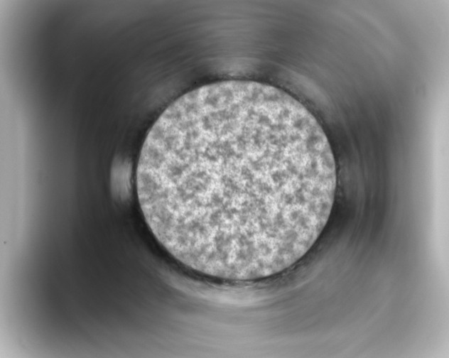 X0000095690024200802051322