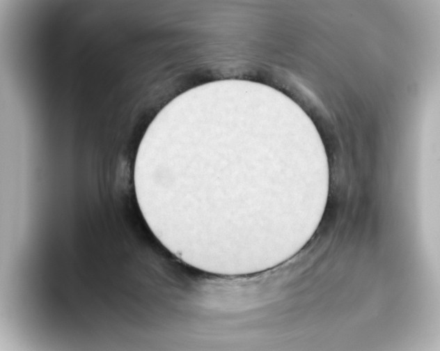 X0000095690025200802051322