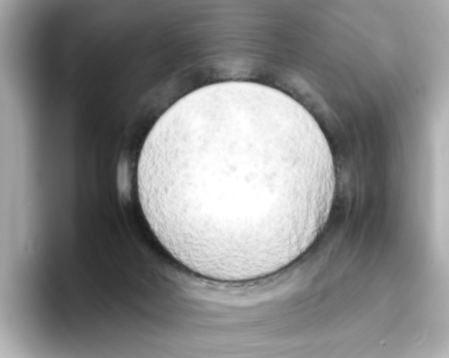 X0000095690026200802051322