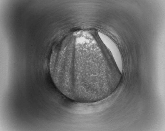 X0000095690029200802051322