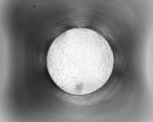 X0000095690030200802051322