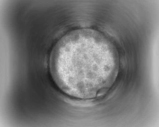 X0000095690032200802051322