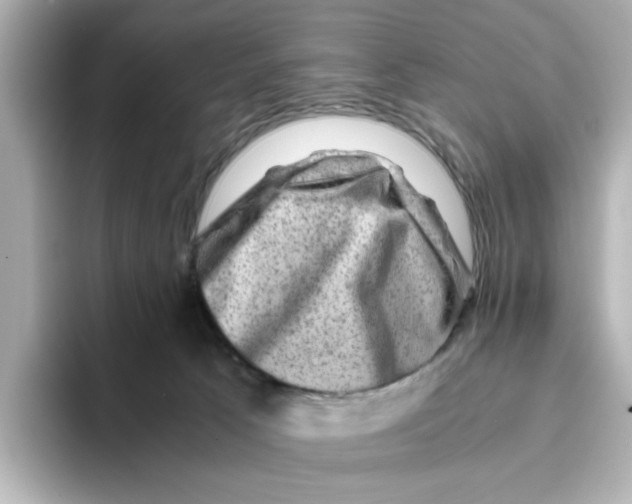 X0000095690033200802051322